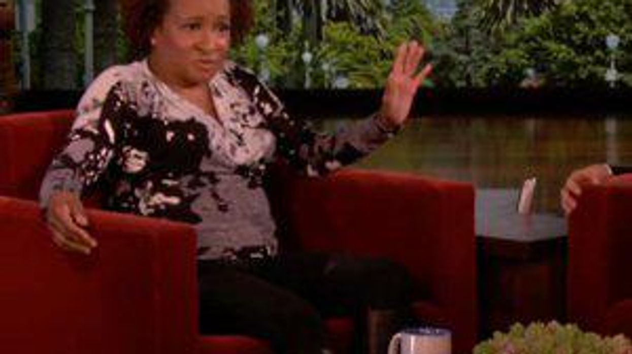 Watch: Wanda Sykes Tells Ellen About Her Family's Inappropriate Visit to the Aquarium