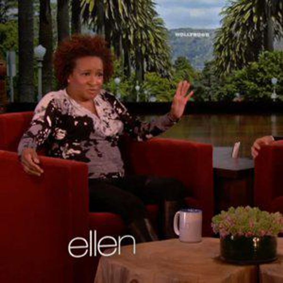 Watch: Wanda Sykes Tells Ellen About Her Family's Inappropriate Visit to the Aquarium