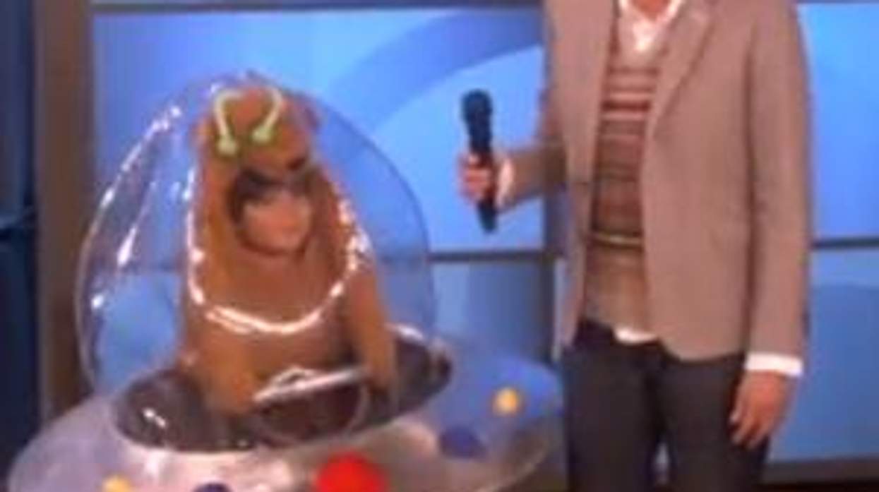Ellen's Halloween Costumes Aren't Just for Kids