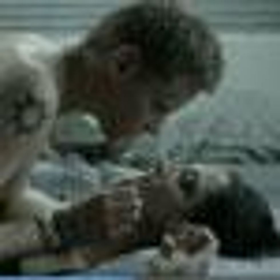 Watch: 'The Good Wife's' Hot New Season 4 Promo 