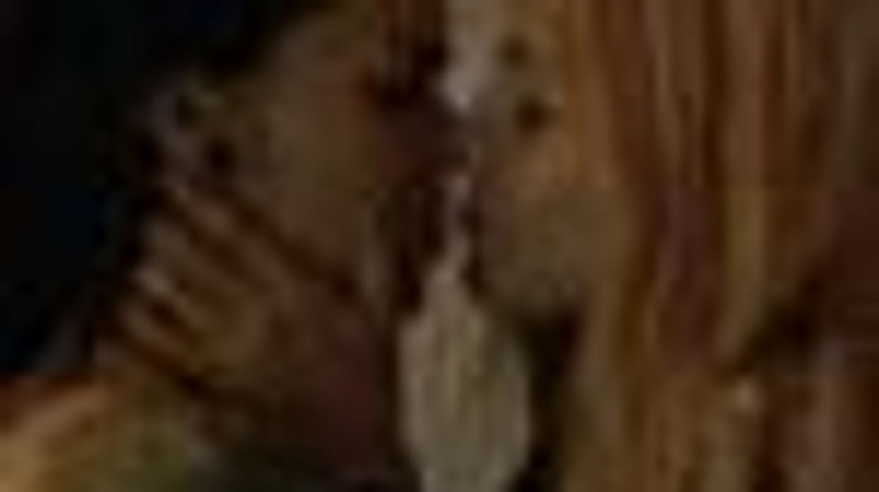 'The Real L Word' Ep. 3.6 'Lost in a Bush' Best of Episode Moments...