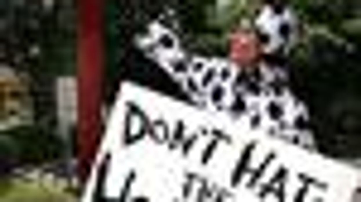 Lesbian Dons Cow Costume to Keep the 'Moooovement' Alive Against Chick-fil-A