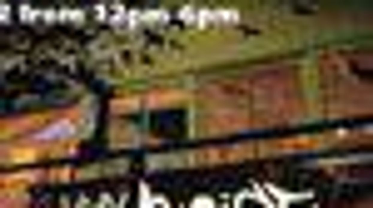 'Afternoon with Queer Female Artists' in Venice