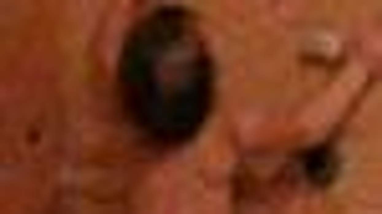 Baby Rock Climbs in Pursuit of Stuffed Animals