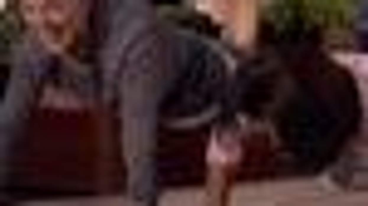 Ellen DeGeneres and First Lady Michelle Obama in a Push-Up Duel: Video