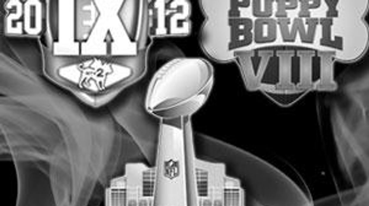 Superbowl Sunday: from Lingerie Bowl to Puppy Bowl to Kick Off to Madonna's Half-Time Show!
