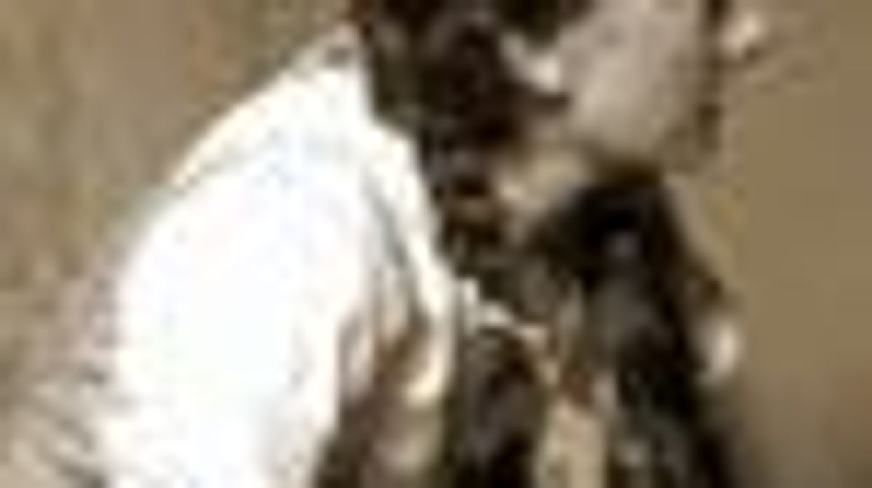 Sara Gilbert's not Just a Friend of Dorothy on 'The Talk's' Halloween Show