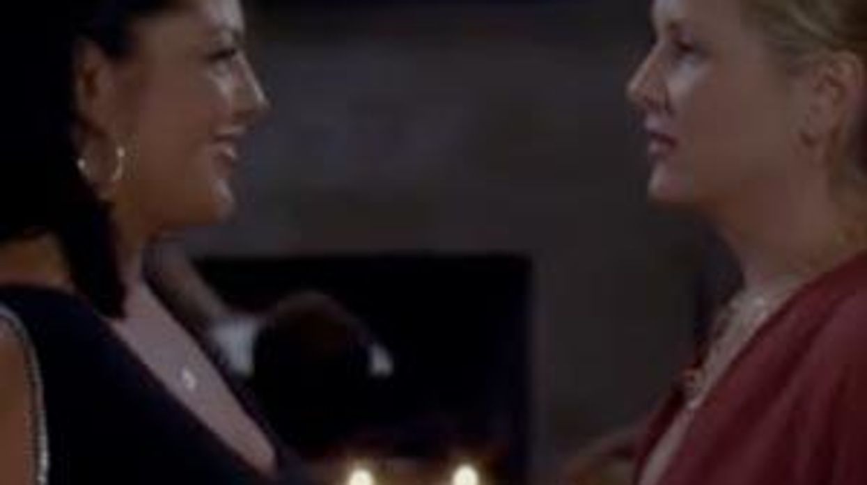 Grey's Anatomy Gay Re-Cap: Ep. 8.5, Same-Sex Adoption Rights and Penile Implants?