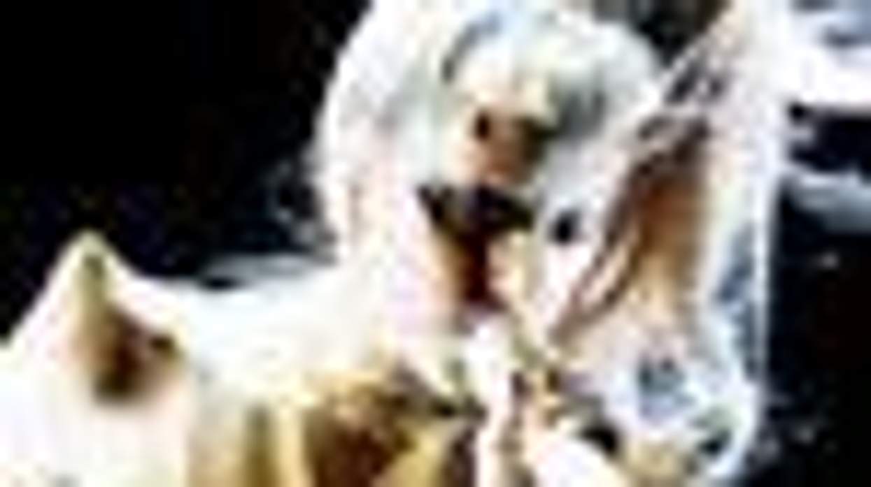 Gaga, Bachmann, Clinton and Palin Make Forbes' List of Powerful Women