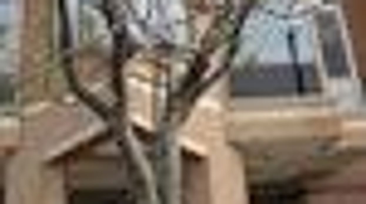 Homosexuality Awareness Test Riles Parents at a Catholic High School