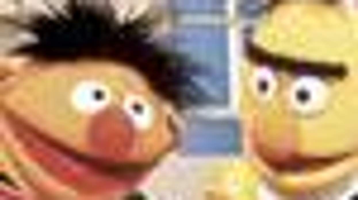 Bert and Ernie are NOT Gay Y'all