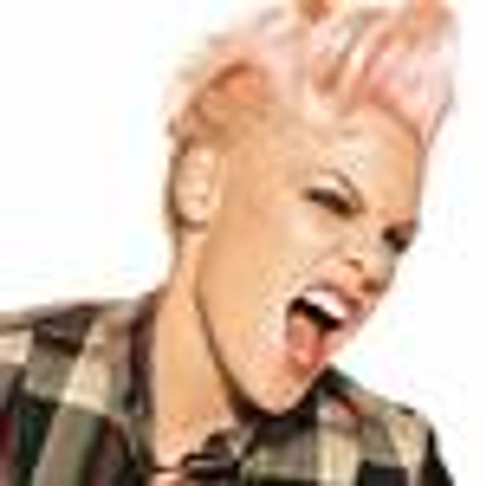 New Mom P!nk Takes On The Paparazzi