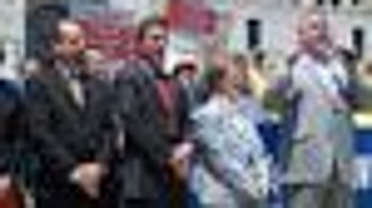 New Yorkers Rally for Marriage Equality in Albany