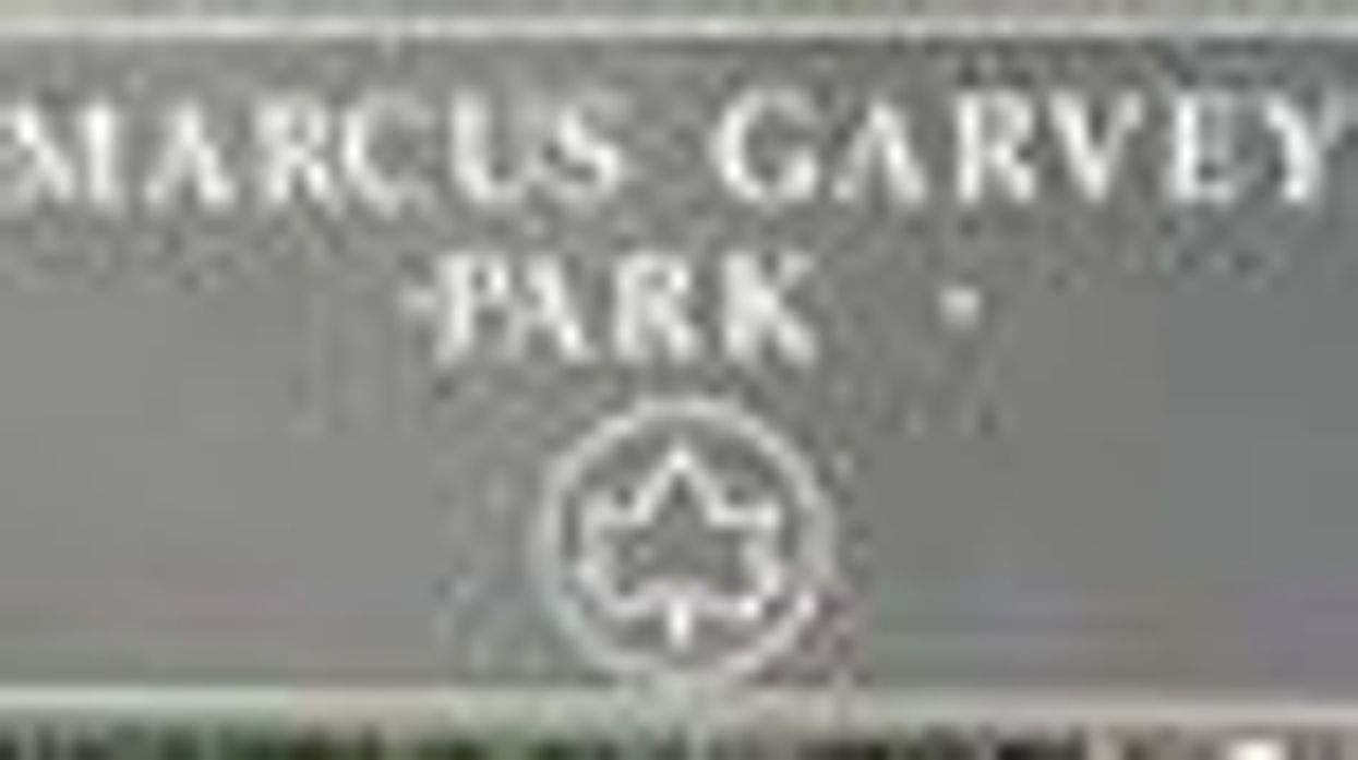 Antigay Pastors Object to Harlem Gay Pride Picnic