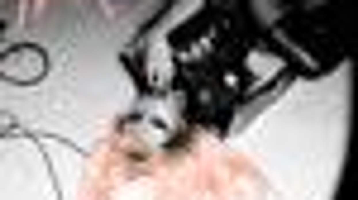 Lady Gaga’s “Hair” is Freedom Personified: Listen!