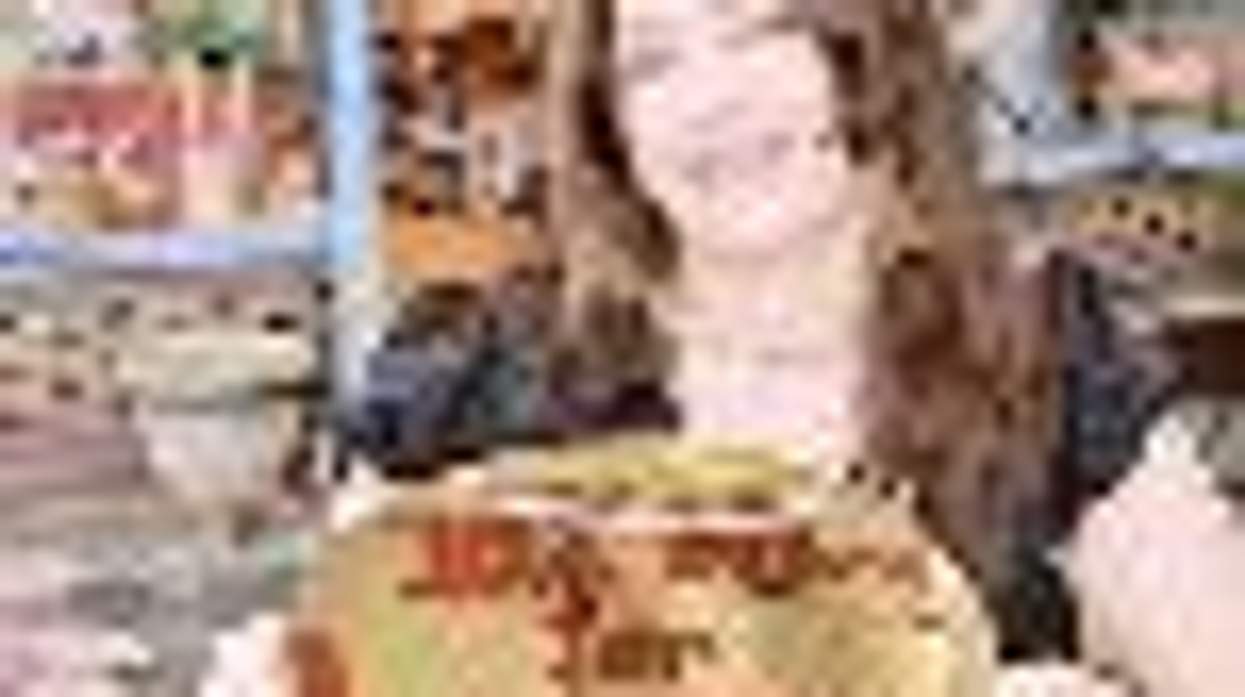 Brooklyn Shop Owner Offering 'Lesbian Mom' Discount Receives Threats