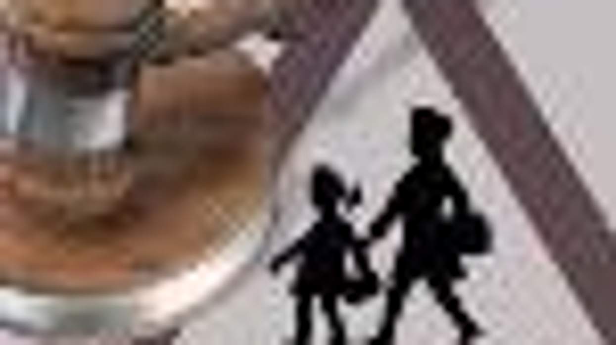 Delaware Court Rules in Favor of Lesbian's Parental Rights
