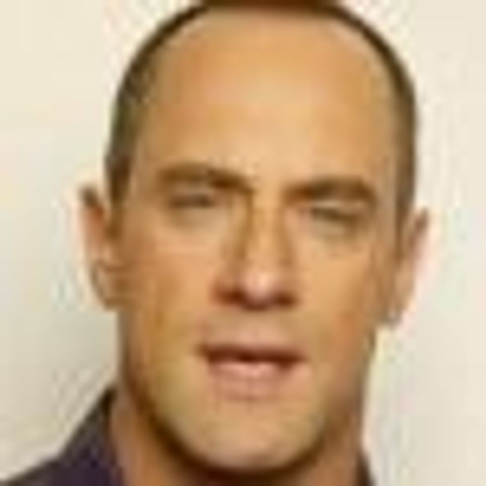 'SVU' Star Christopher Meloni Stumps for New York Marriage Equality: Video