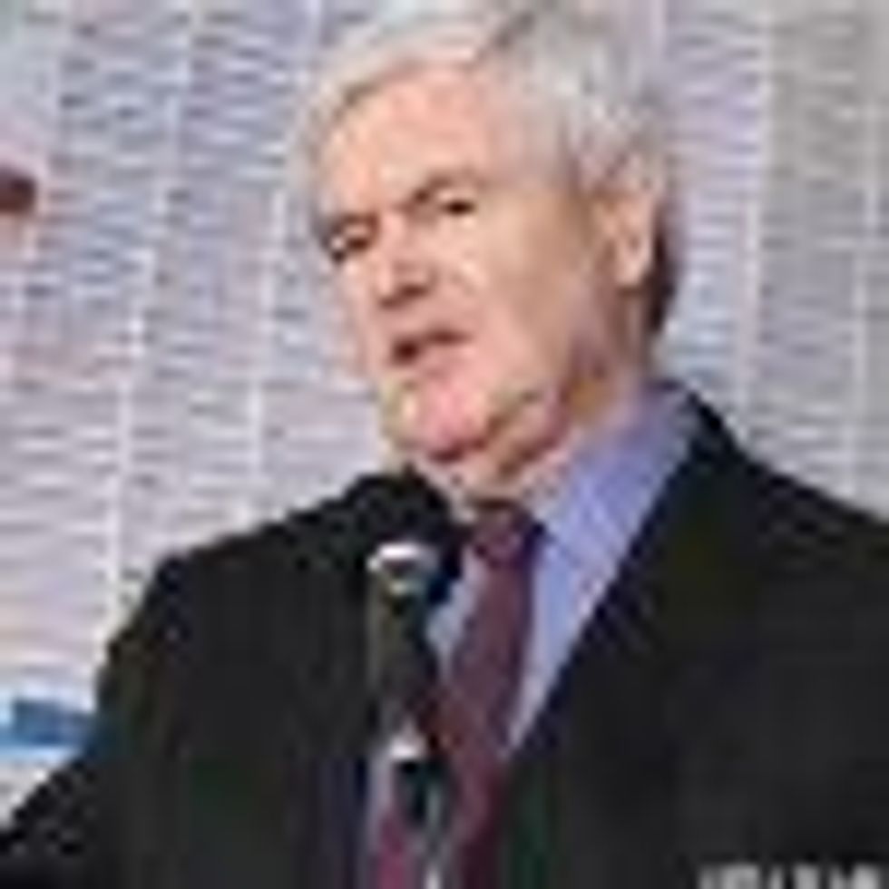 Presidential Hopeful Newt Gingrich Vows to Slow Gay Rights Progress: Video
