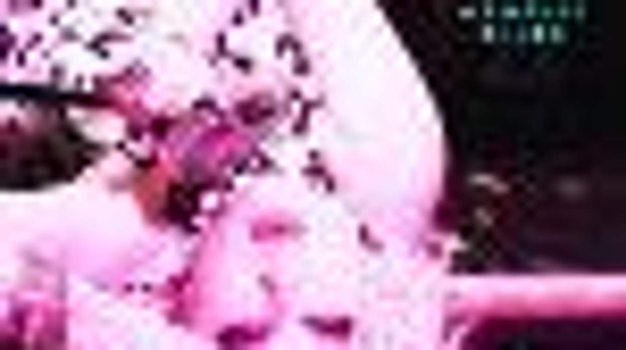 Cyndi Lauper Stays in Japan to Raise Funds for Earthquake Relief