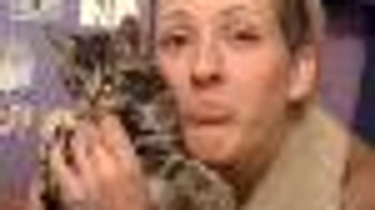 SheWired�s Shot of the Day: Ellie Goulding Sings �Your Song� With a Kitten