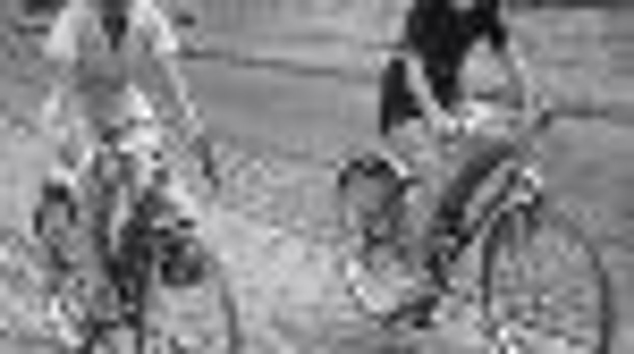 Lesbians and Gays More Likely to Go Green According to Poll