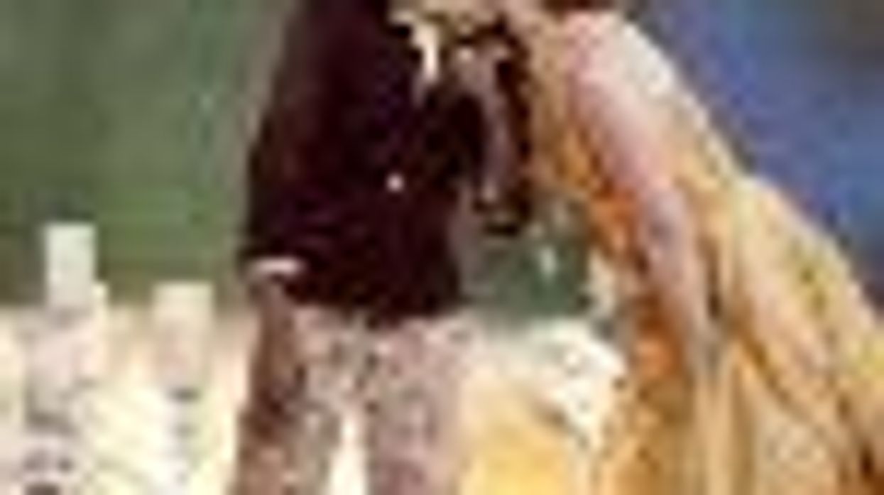 'The Fashion Show' Creates Wedding Looks for Lesbian, Gay Couples