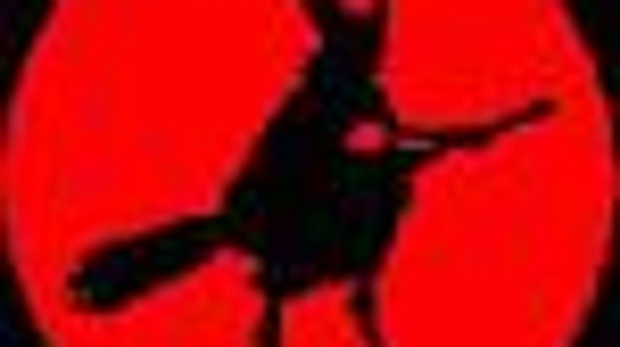 Anti-Gay Bullying is Today's Witch Hunting