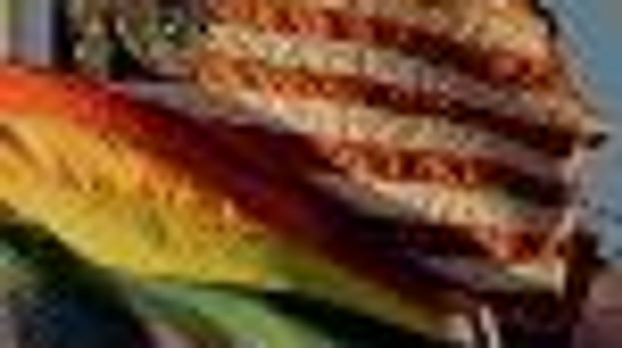 Immigration Bill to be Inclusive of Lesbian and Gay Couples