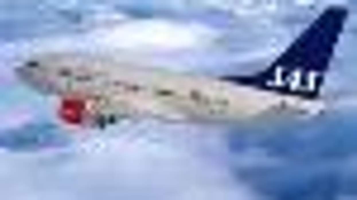 Get Married on Sweden's Mile High Wedding Flight!
