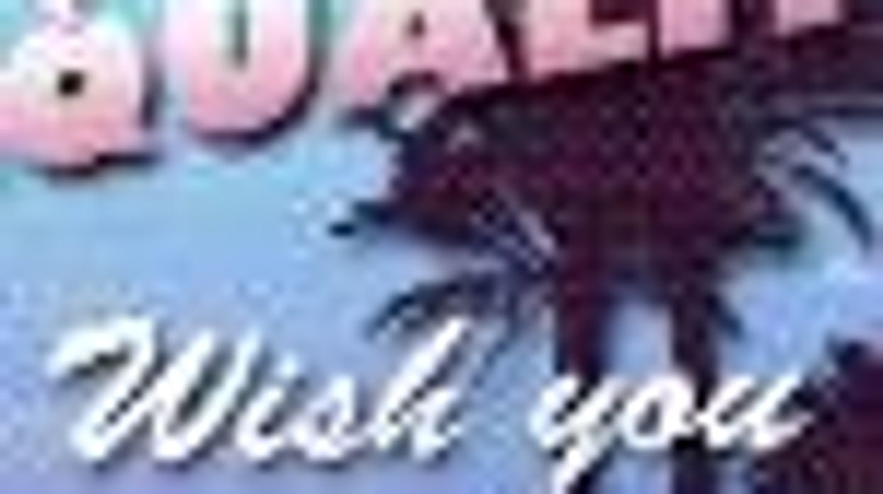 Send Linda Lingle a 'Wish You Were Here' Postcard for Equality