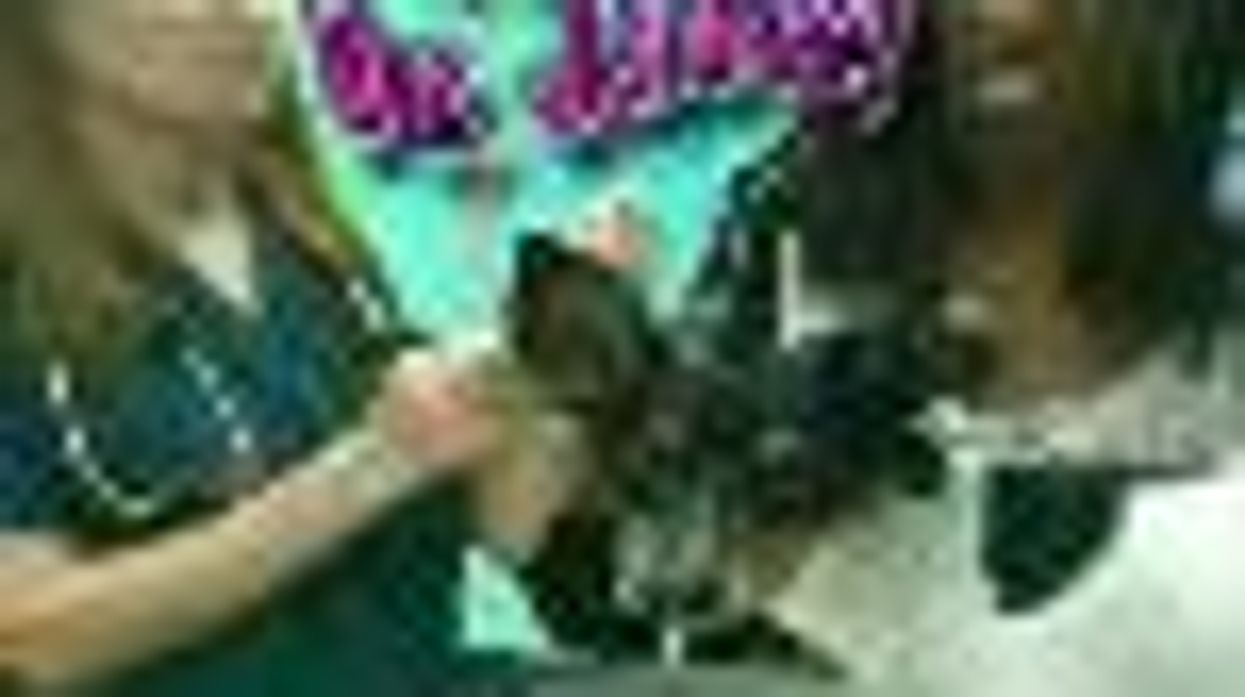 Ask Dr. Jack Episode 5 - Gloria Bigelow's Pup has Some Issues: Video