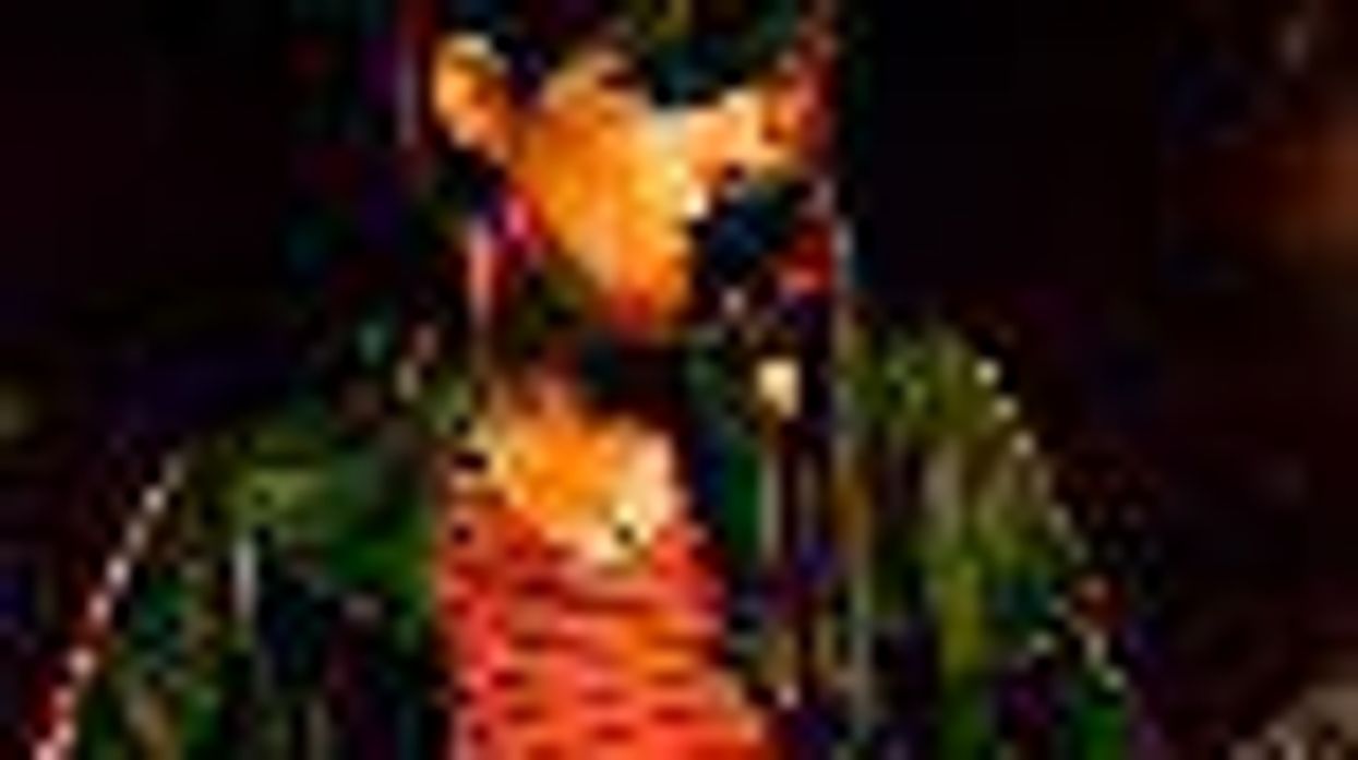 The Artists of Lilith Fair Series: Butterfly Boucher Exclusive