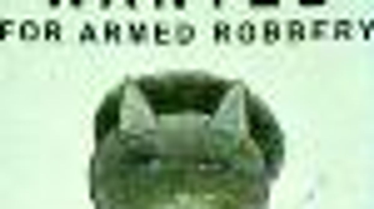 NBC on SheWired: Cat Woman on the Prowl in NYC