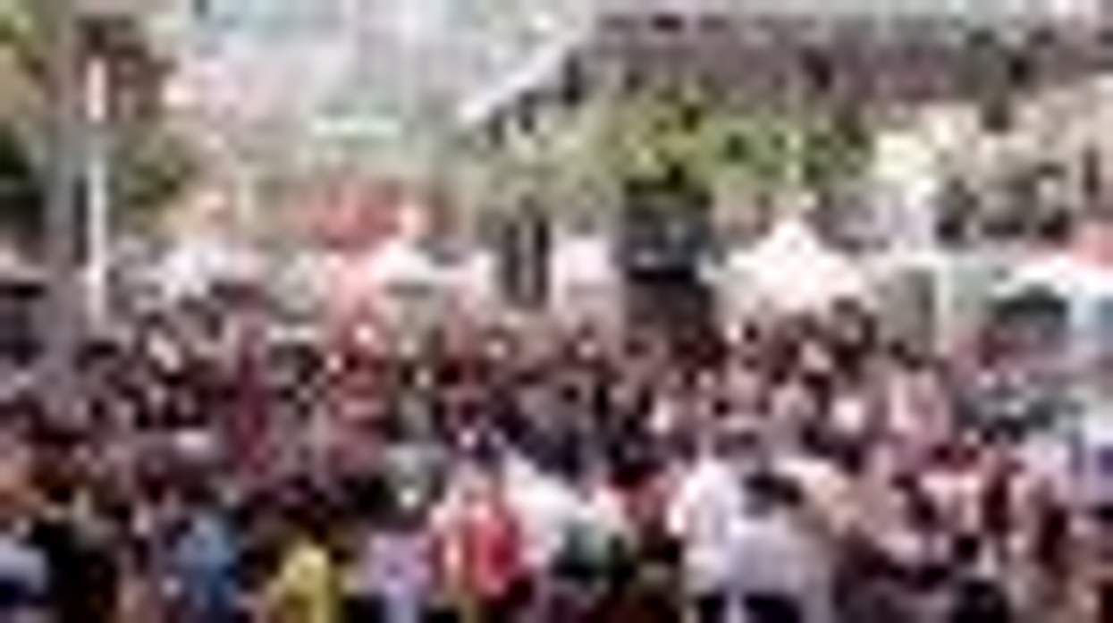 Los Angeles Pride: 'The Real L Word's' Mikey, Jane Velez Mitchell, Cathy DeBuono and Jill Bennett