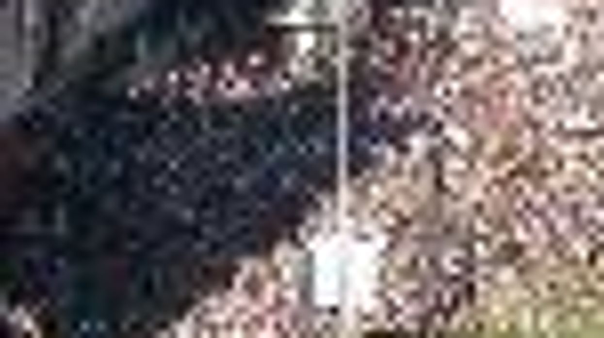 Brazil Holds Largest Gay Pride Parade with 3 Million Participants