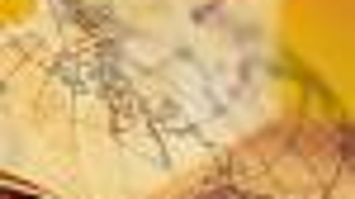 Reps. Gutierrez, Quigley and Polis Push for Inclusion of Gay Couples in Immigration Reform