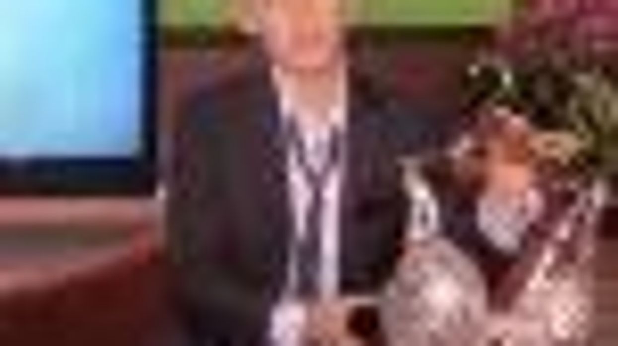 Ellen DeGeneres Saves the Earth One Bra at a Time!