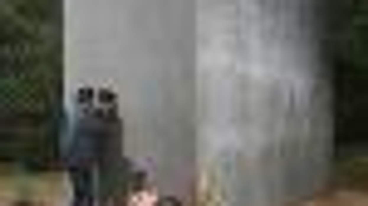 Image of Kissing Lesbians Draws Protest by Historians at Gay Holocaust Memorial