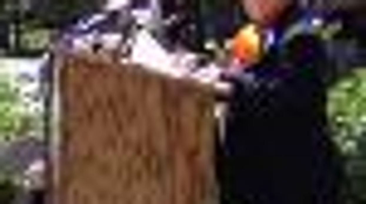 Lesbian KItty Lambert Marries Male Stranger in Protest