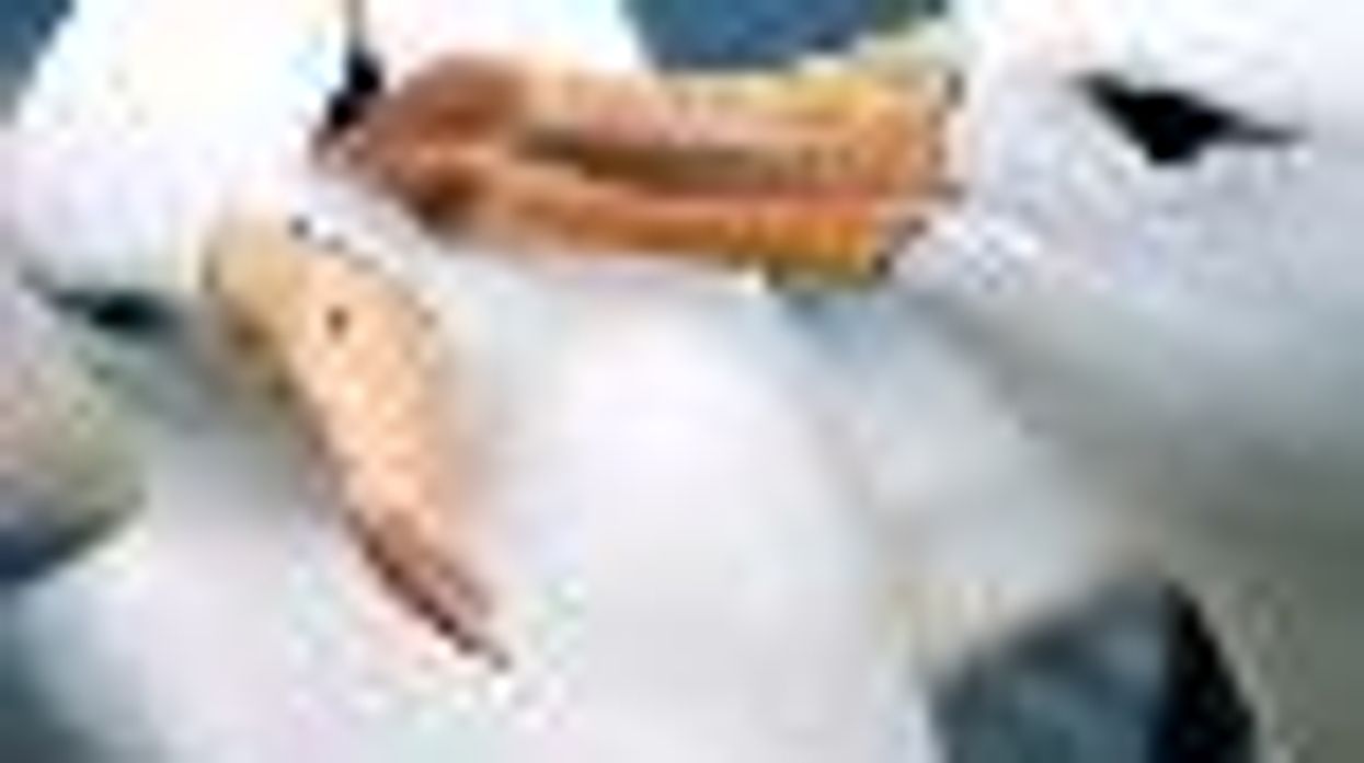 Lesbian Albatross Couple Now Parents!