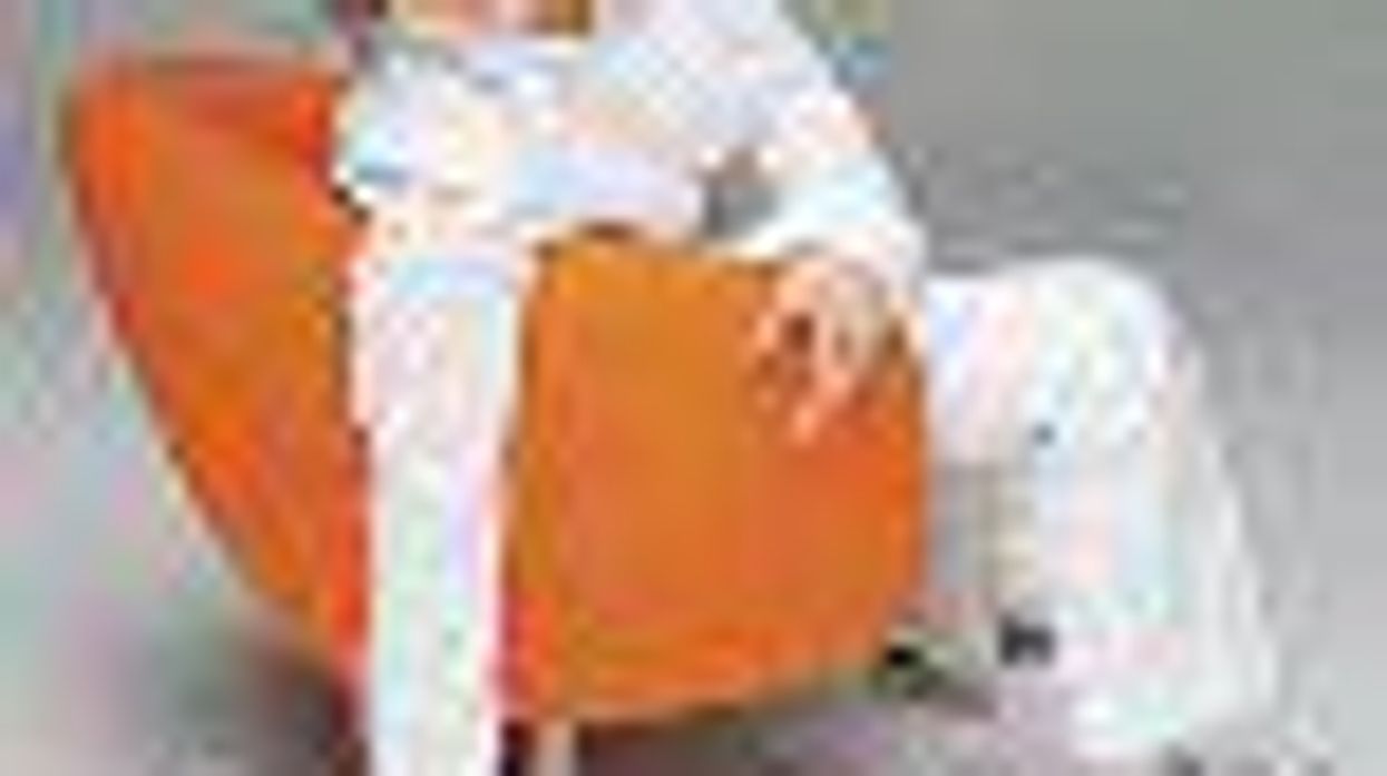 Ellen Degeneres' Big Gay Insult: Simon Cowell's a 'Prima Donna'