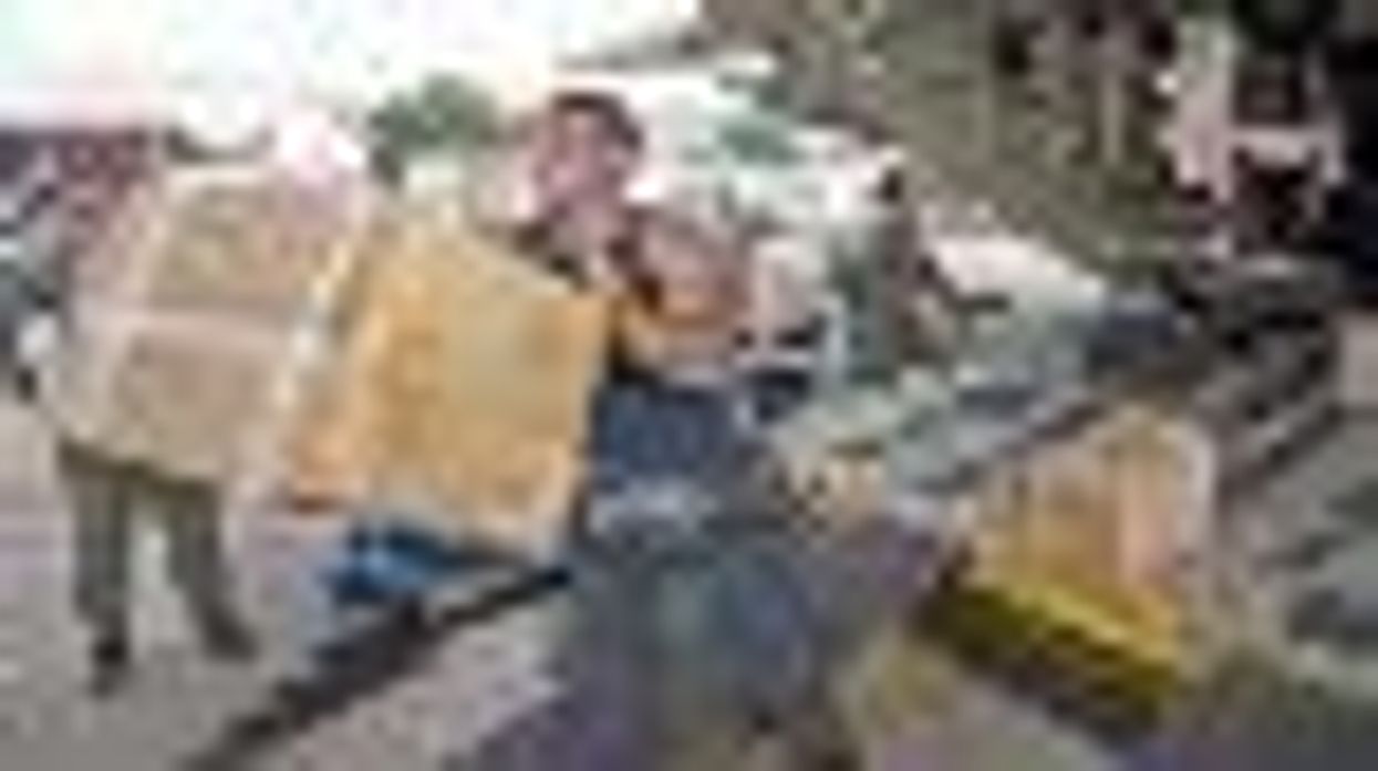 Olivia and Gay Cruises Raise Funds for Haiti Earthquake Relief