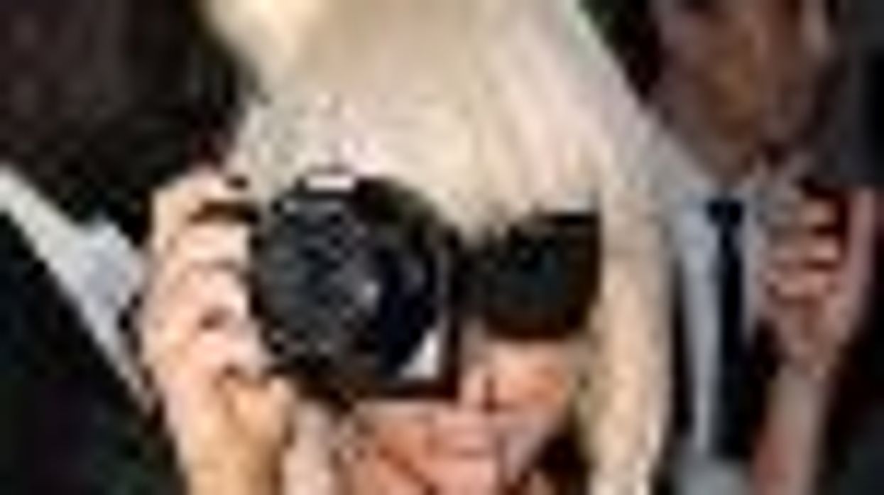 Lady Gaga Goes Retro Lo-Tech with Polaroid Instant