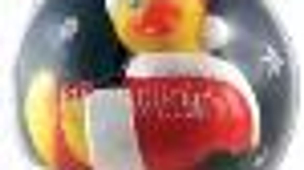 2009 Holiday Gift Guide for Smart, Sexy, Sporty, Sassy and Savvy Women