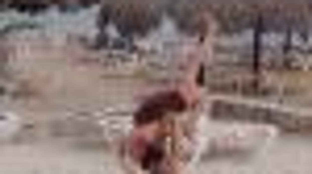 Sweet Times on the High Seas Costa Maya to Belize City: Photos