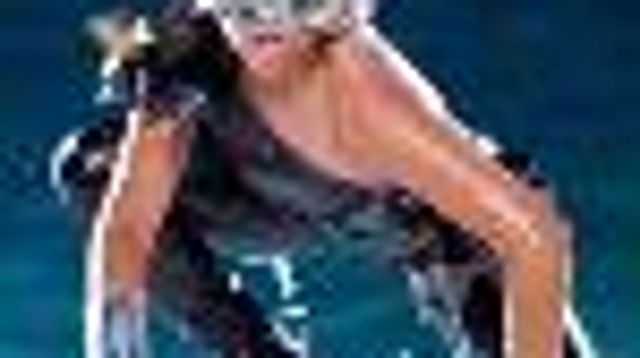 Lady Gaga Kicks Off �Monster Ball� Tour Nov. 27