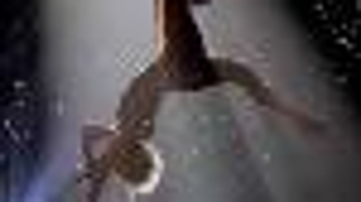 Up Close and Personal: Lesbians Love P!nk's FunHouse!