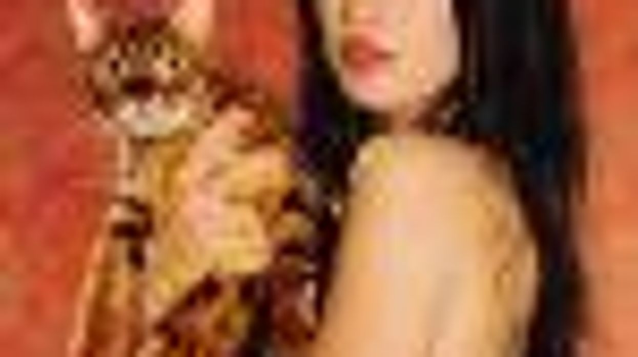 Are Megan Fox's Claws Out to Play Catwoman in 'Batman' Sequel?