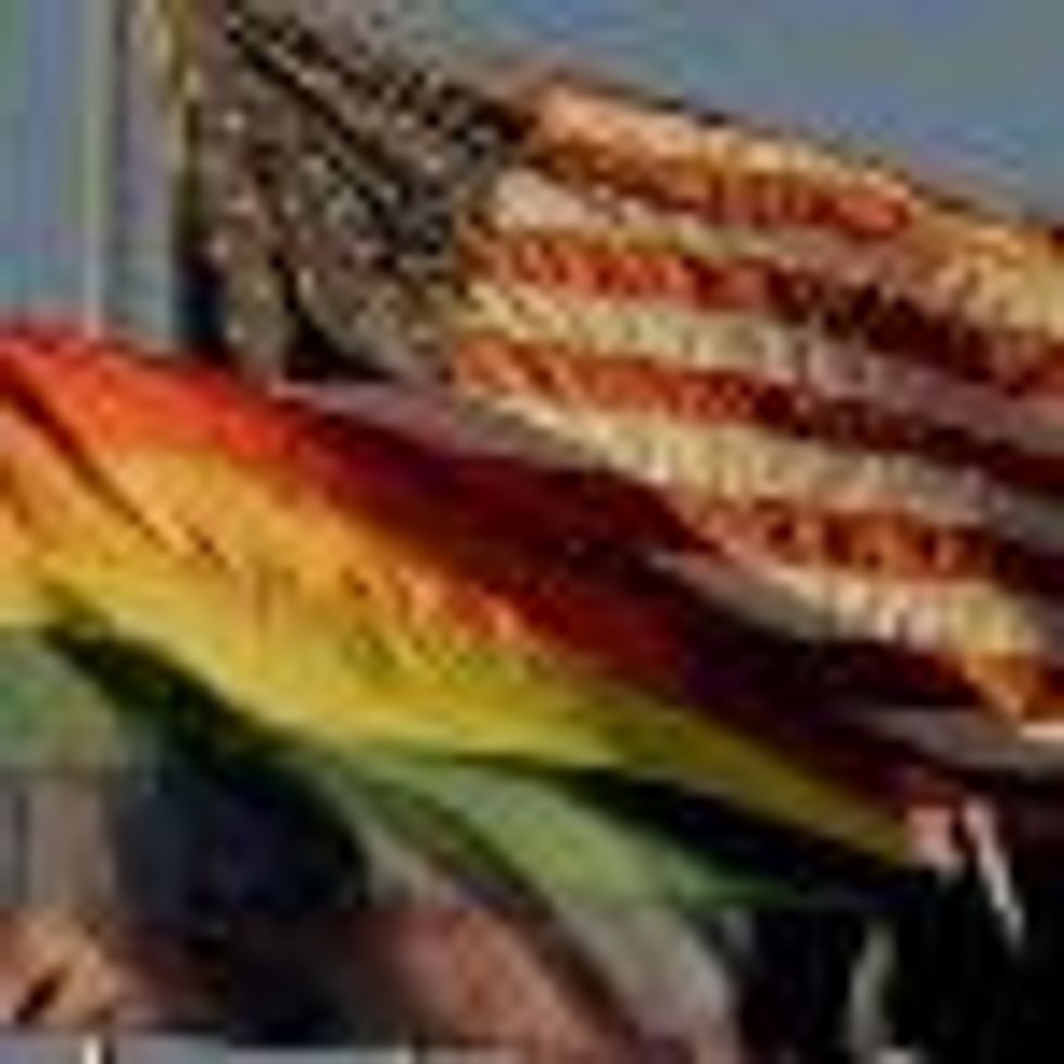 Brown, Schwarzenegger Ask to Uphold Prop 8 During Federal Case